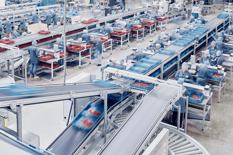 Looye packaging hall