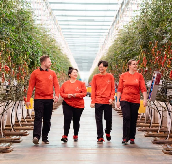 Employees walking through greenhouse