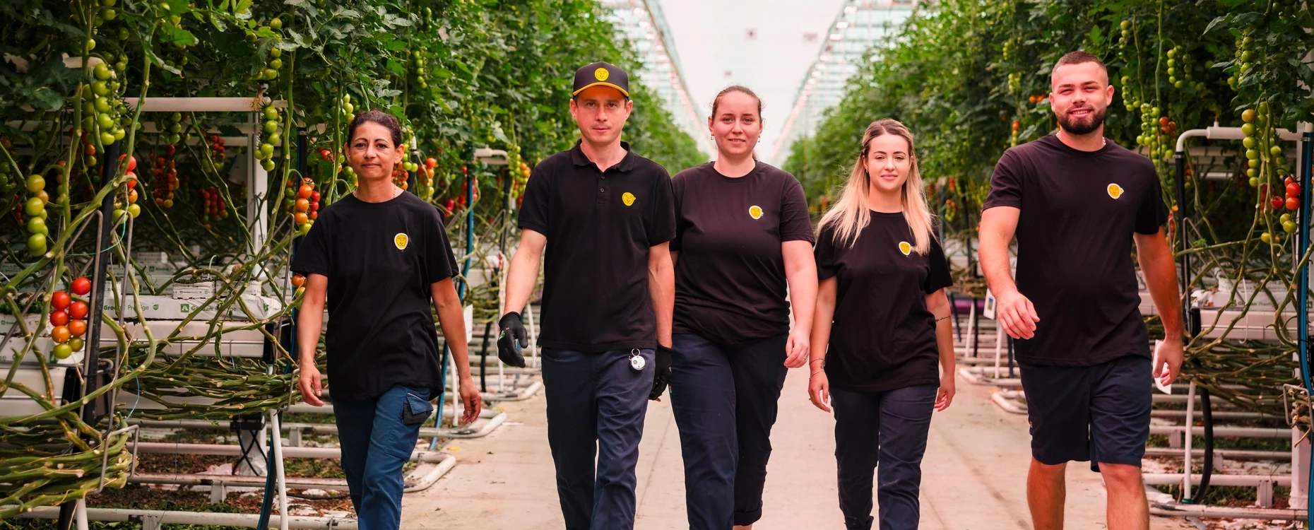About Brite Jobs