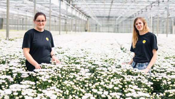 Production worker (flowers)