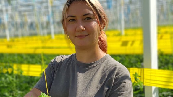 Anamaria Talapan